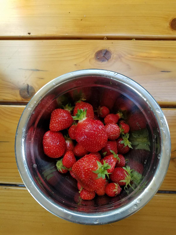 strawberries3.jpg