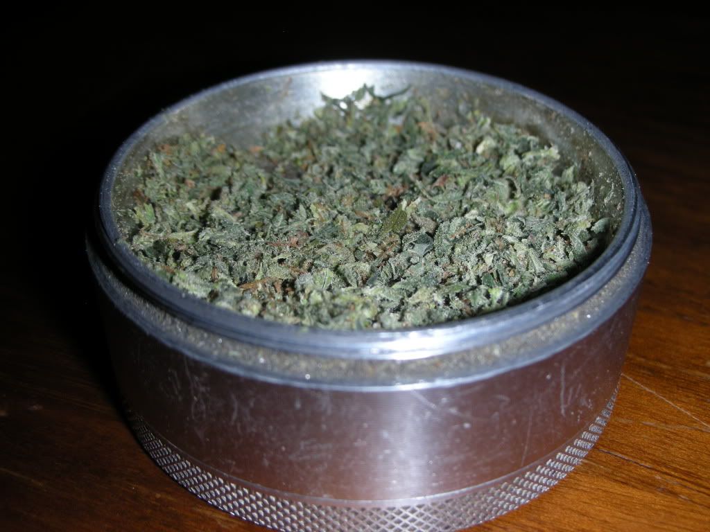 DSCN2595.jpg