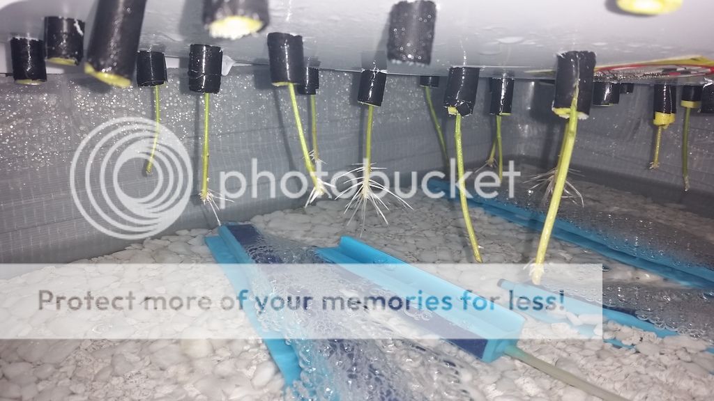 20160101_212442_zpsvx5dbjle.jpg