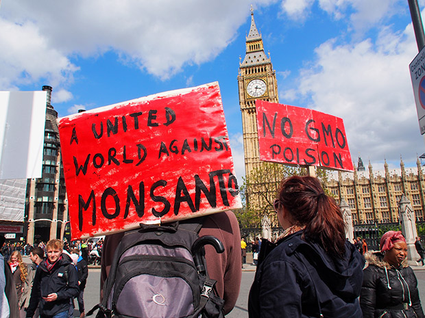 london-monsanto-protest-26.jpg
