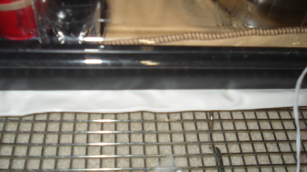 DSC03770.jpg