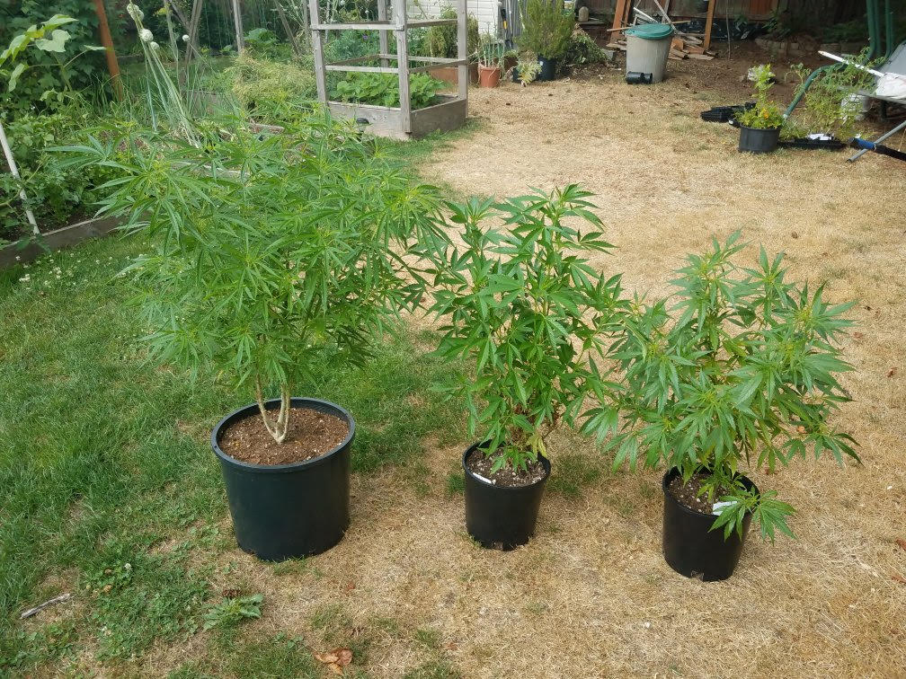 outdoor1.jpg
