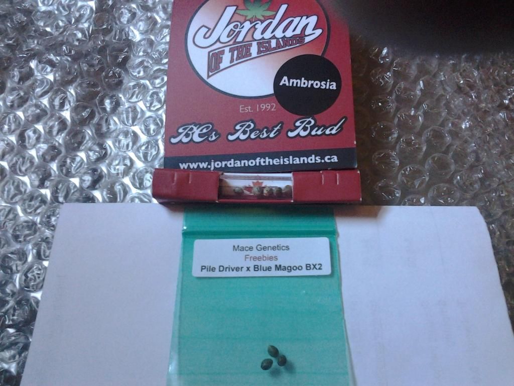 20150117_124407_zpsjoxdyoqc.jpg