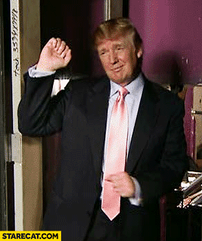 donald-trump-dancing-meme-gif-animation.gif