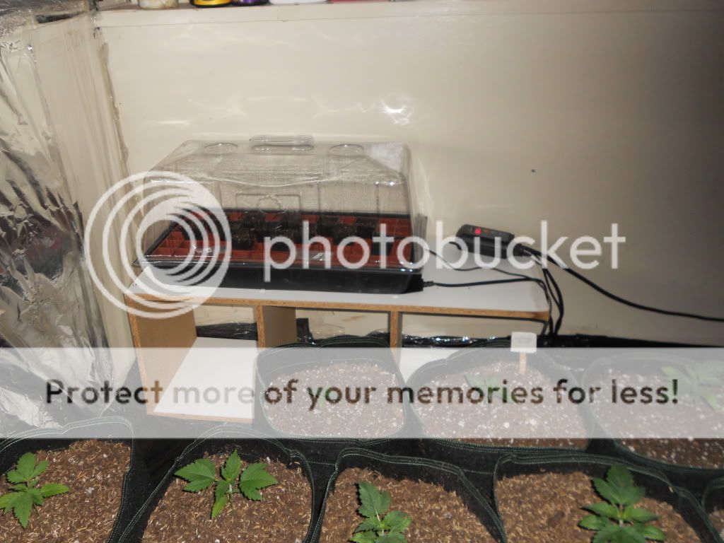 DSCN4283.jpg
