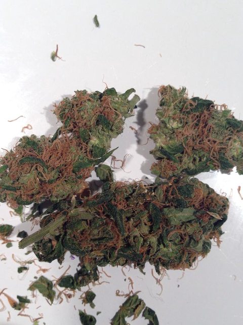XnQBW8Ml.jpg