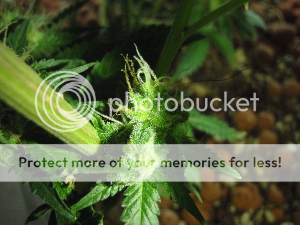 PC191692.jpg