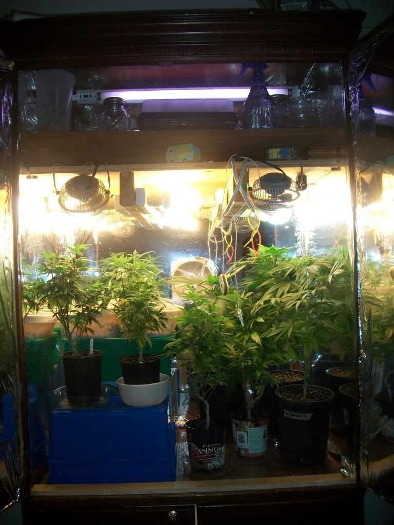 9-30-11005.jpg