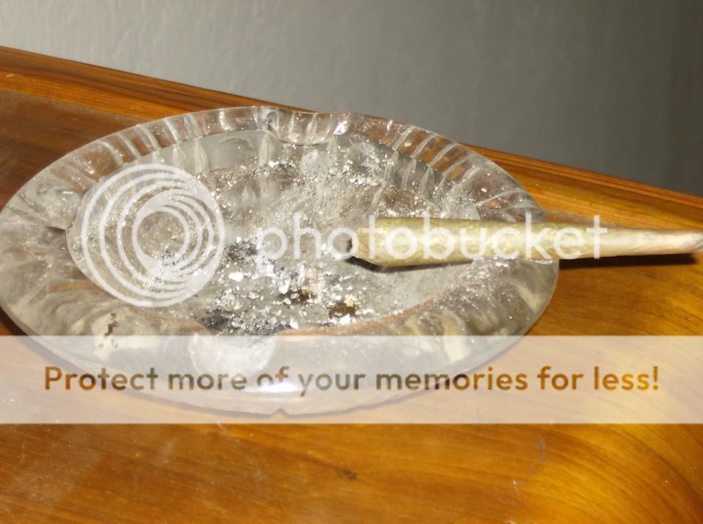 ImportedPhotos00151.jpg
