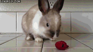 gifs_13.gif