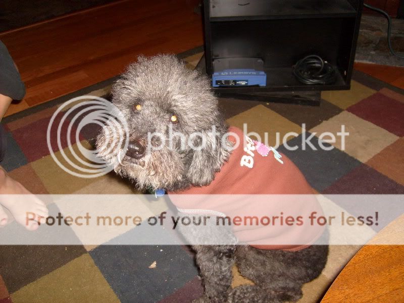 S6306098.jpg