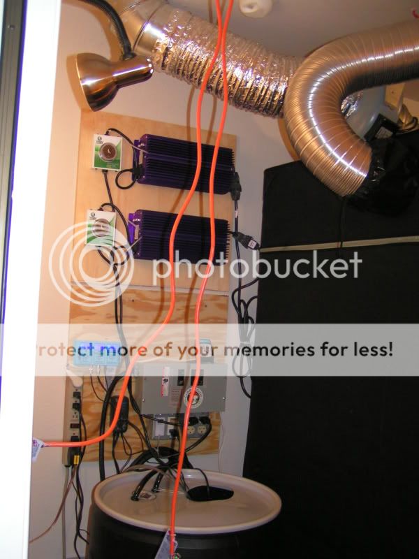 PICT8082.jpg