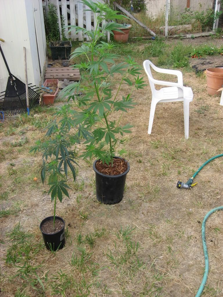IMG_1527.jpg