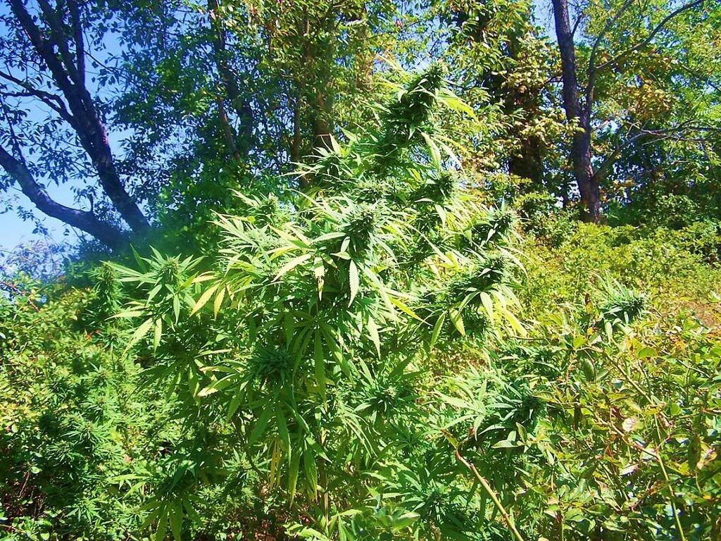 101_8745.jpg
