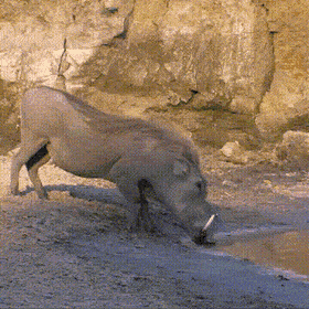 1653507122_2.gif