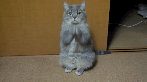 tumblr_m1zm54S9lR1qgodv8.gif