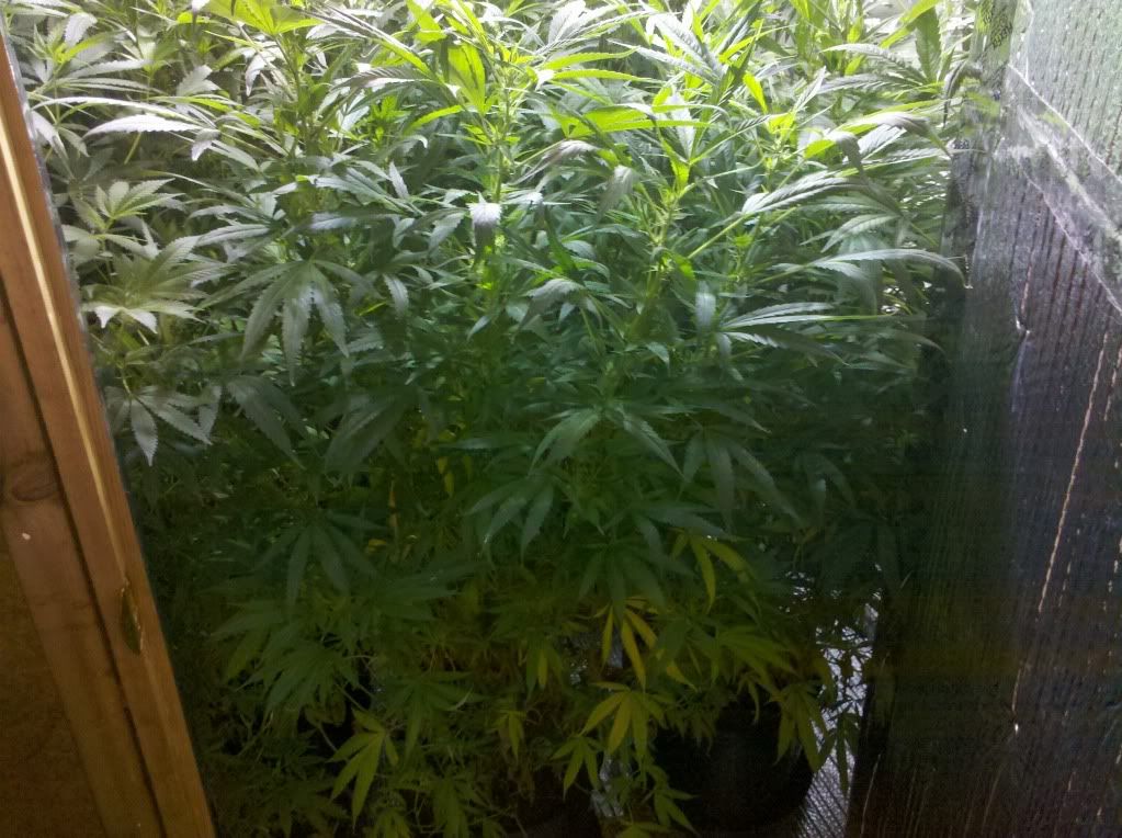 2011-08-20_15-06-22_738.jpg