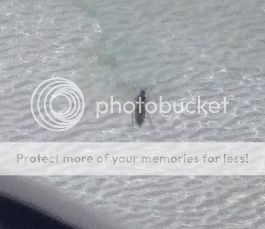 photo1-44.jpg