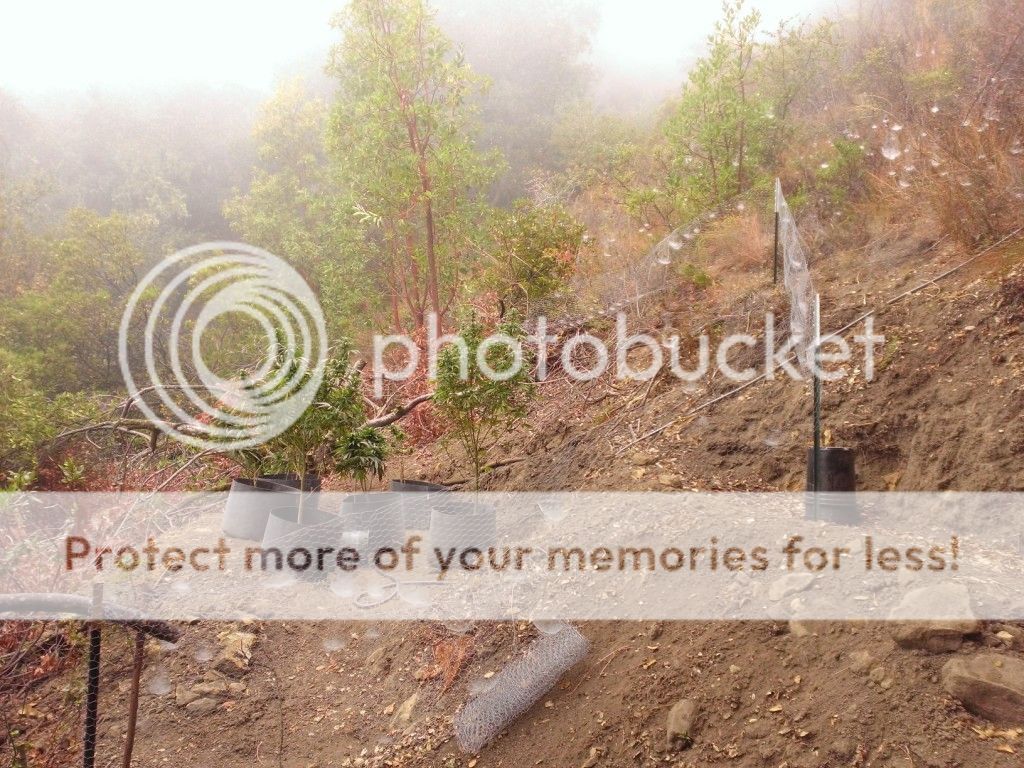 WP_20140905_001.jpg