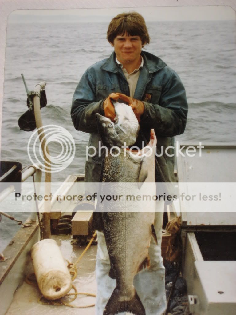 lilfddbigfish-1.jpg