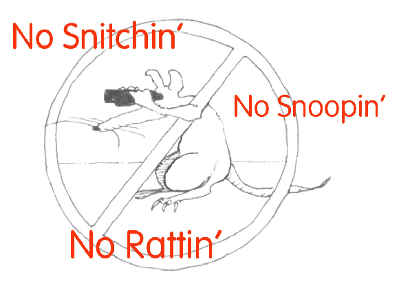 SnitchBook_NoRatGraphic_byTravis_1012-580.gif