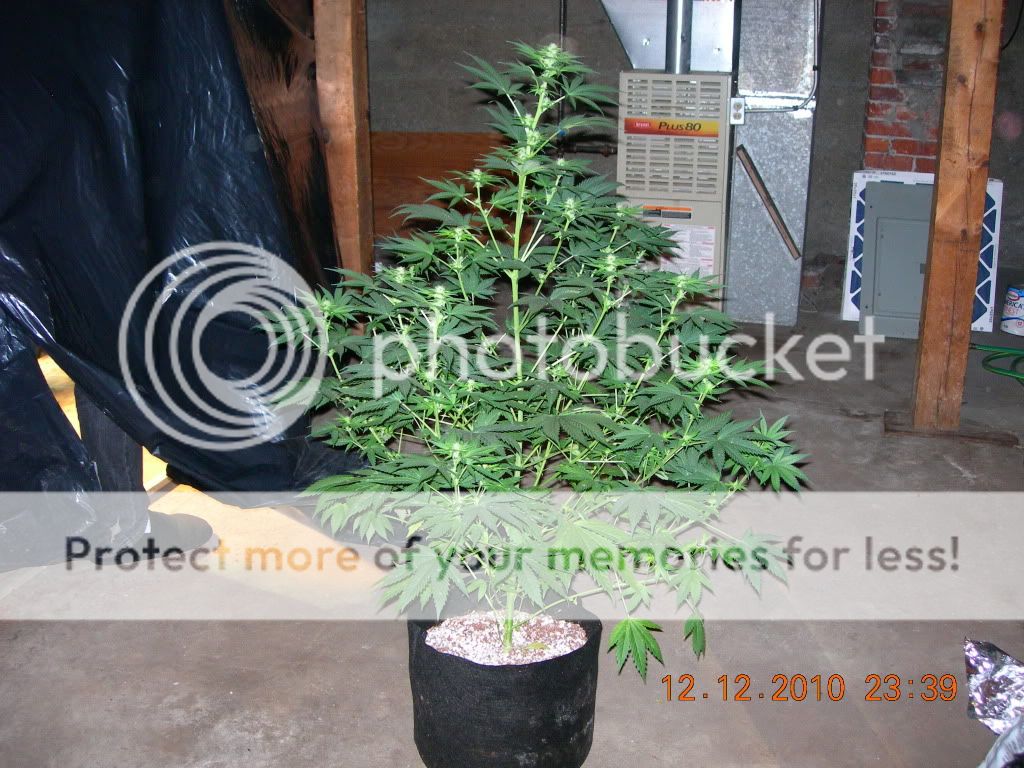 DSCN6967.jpg