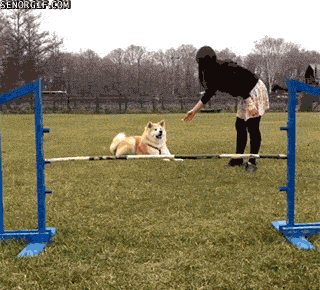 gifs_22.gif