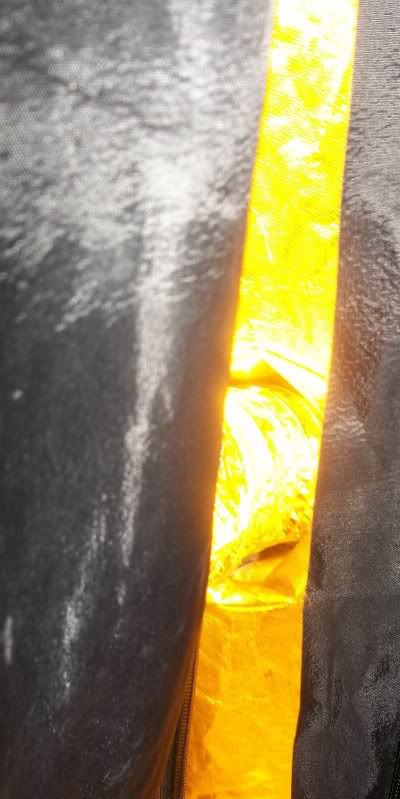 102_0084.jpg