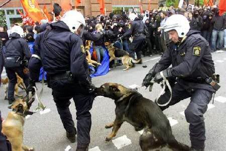 dog_bites_cop.jpg