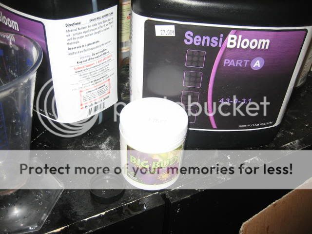 IMG_3230.jpg