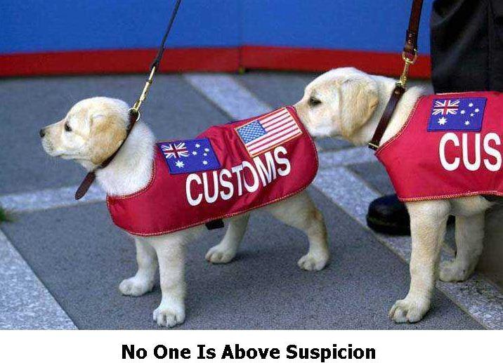 Suspicion.jpg
