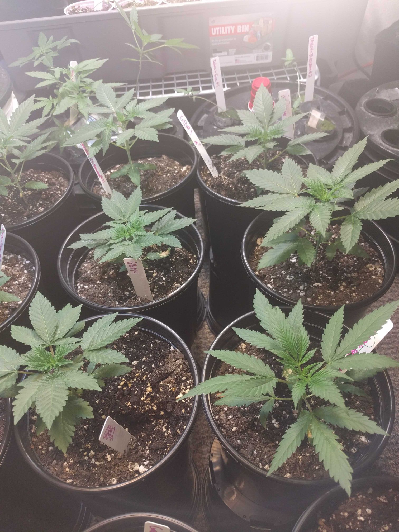 2f6fda68c089e10895257211aa69d706.jpg