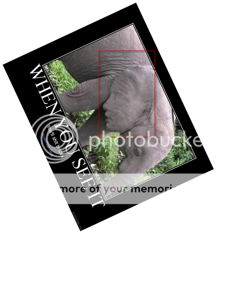 elephant.png
