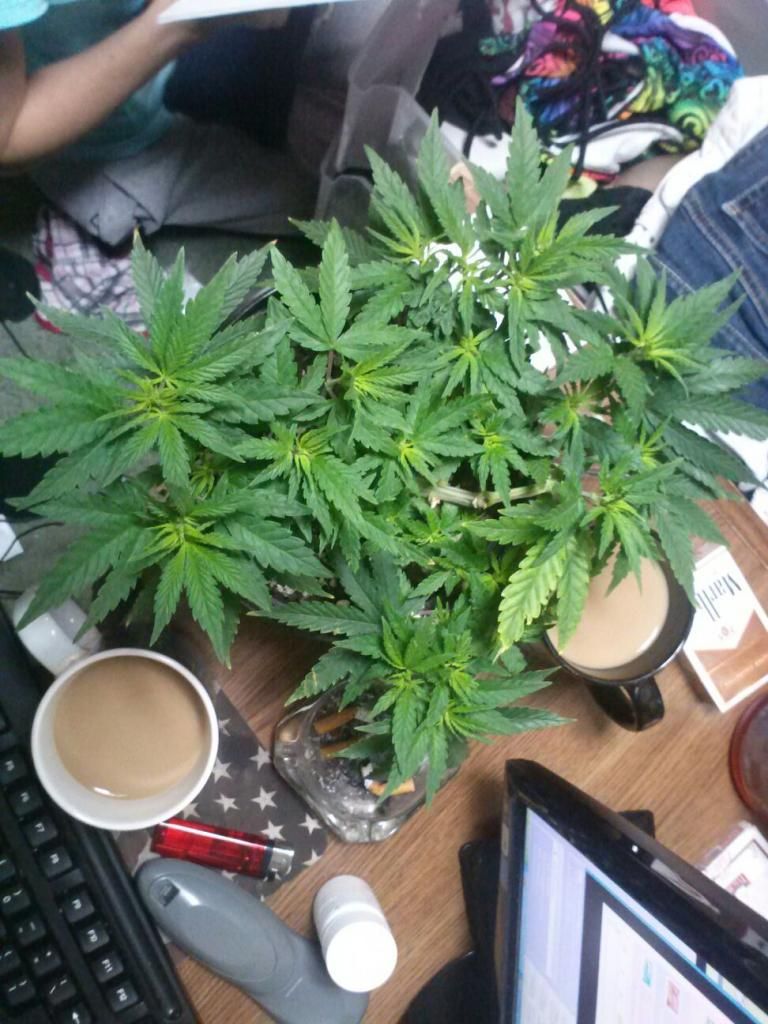 0205130948_zps0b717261.jpeg