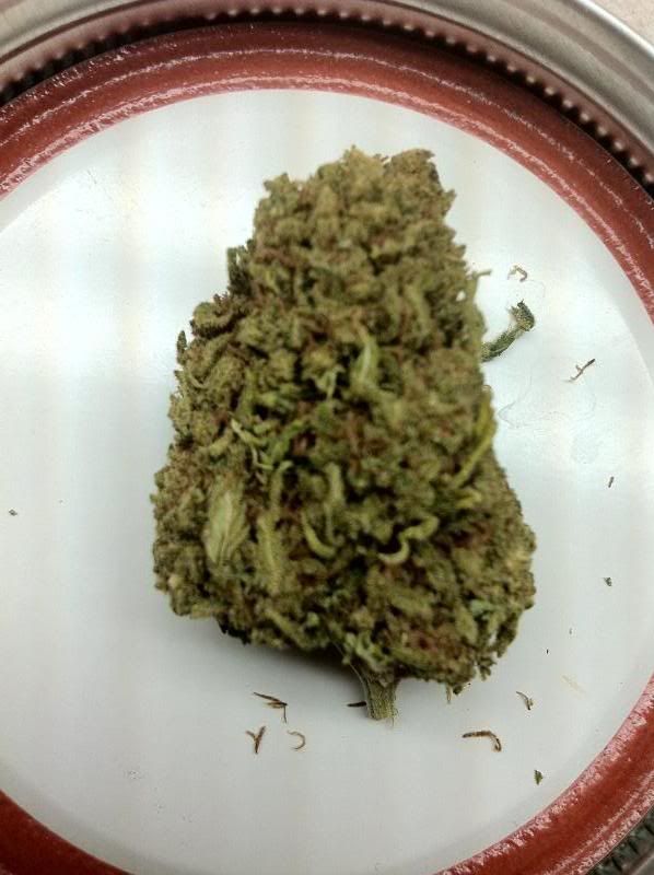 grow138.jpg
