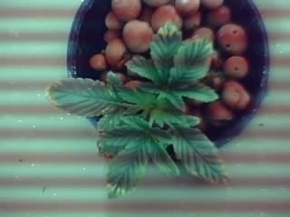 01-31-08_1233.jpg