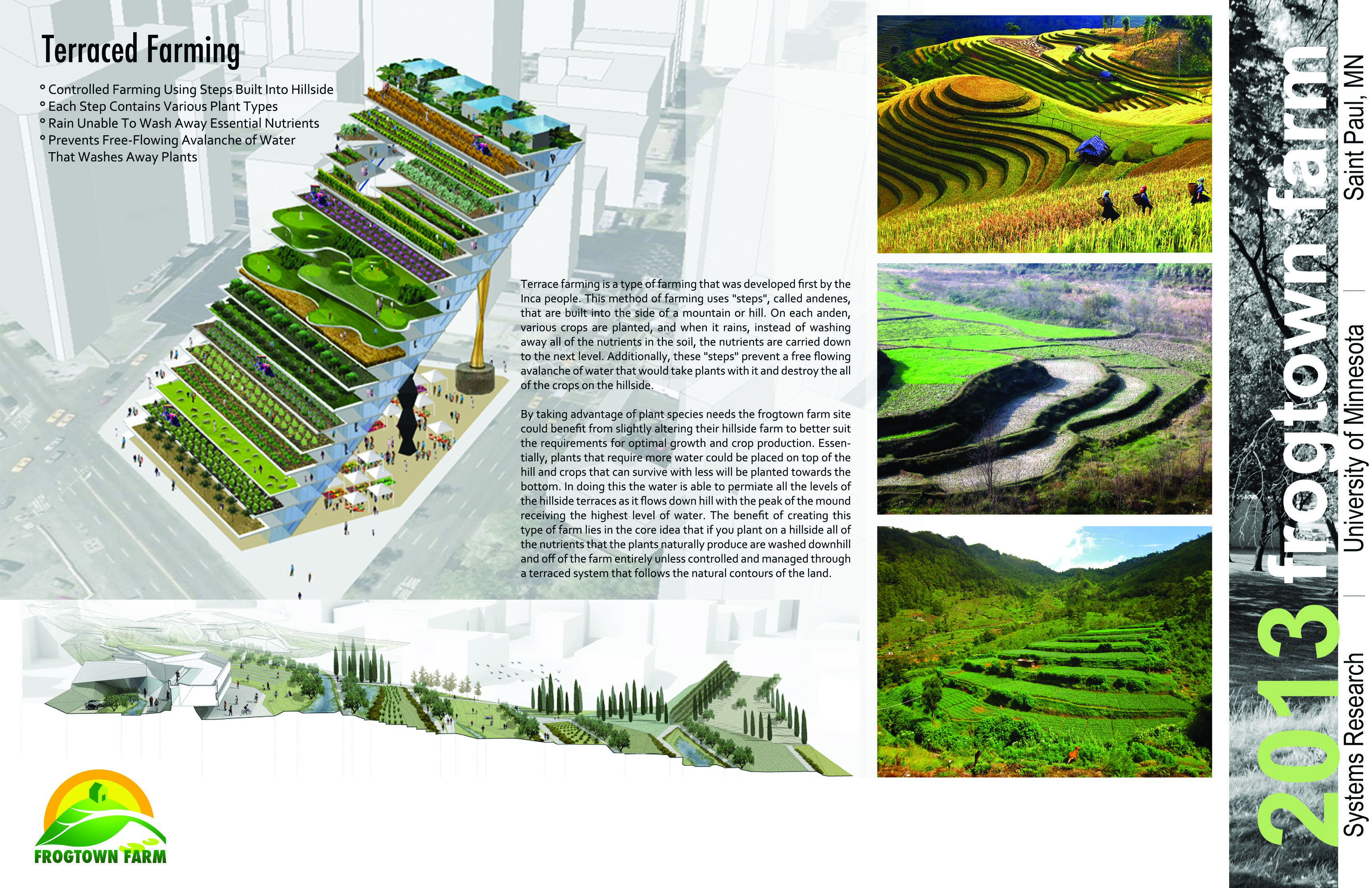 terraced-farming.jpg