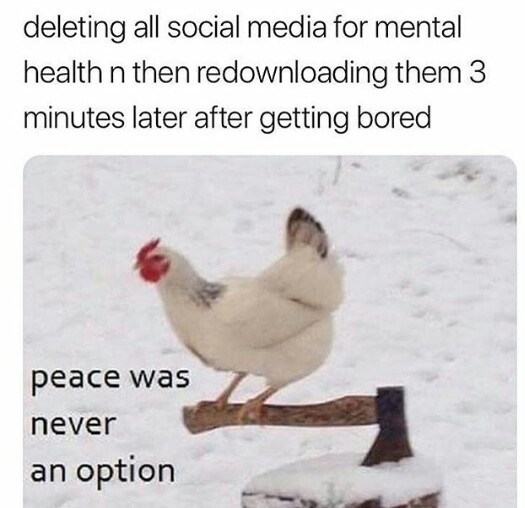 5ae0a7269dd8b.jpeg