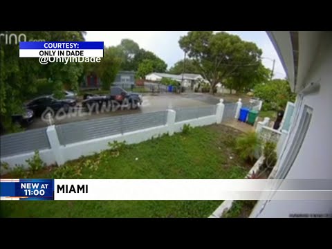www.local10.com