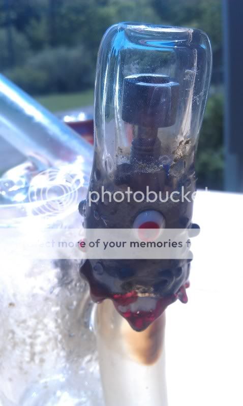 IMAG0699.jpg