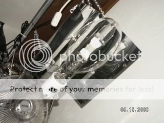 PICT0445.jpg