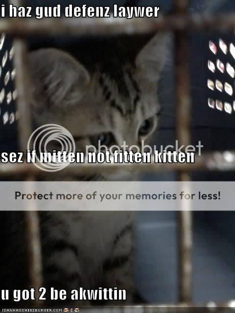 kittenmittenfitten.jpg