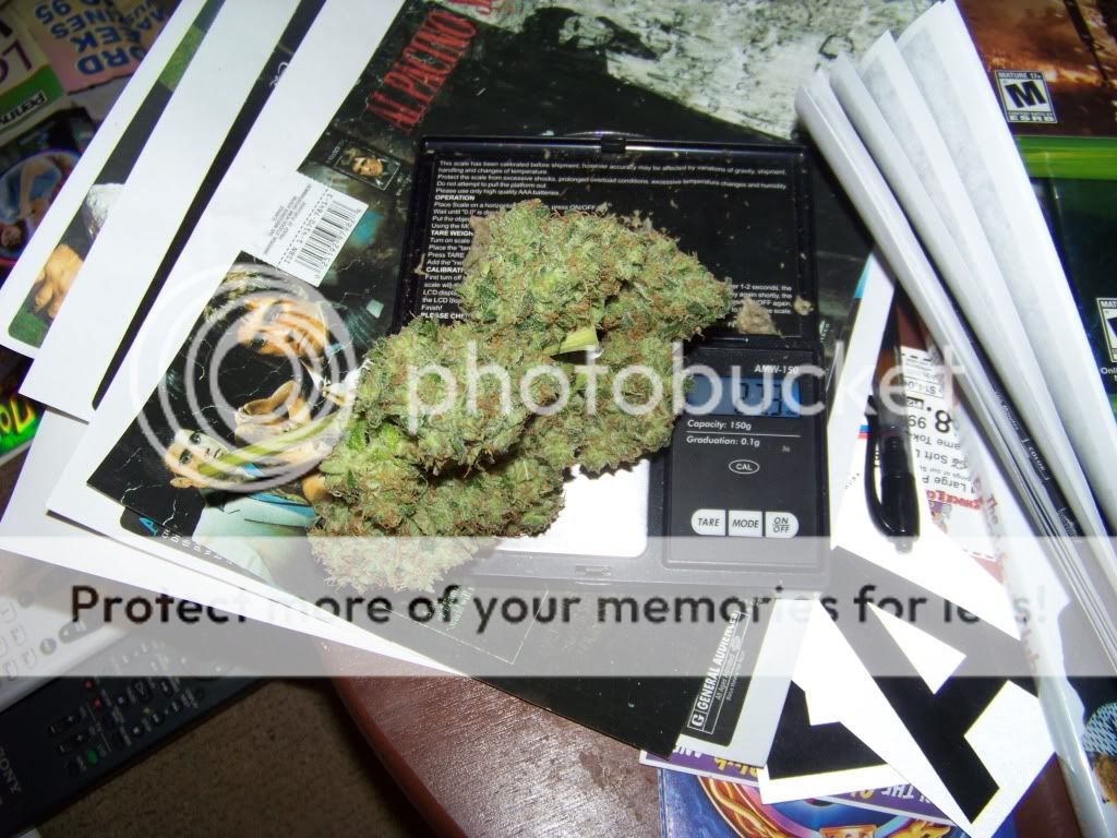 Week7FloweringPineapple013.jpg