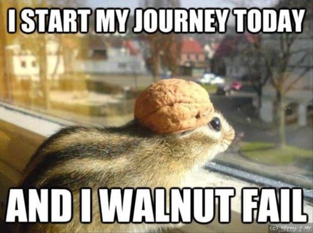 i-start-my-journey-today-fail-meme.jpg
