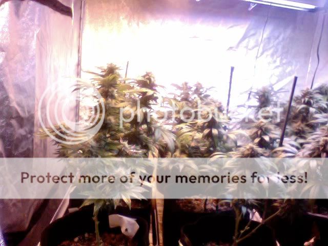 Photo7-3.jpg