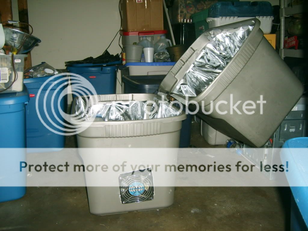 S5000229.jpg