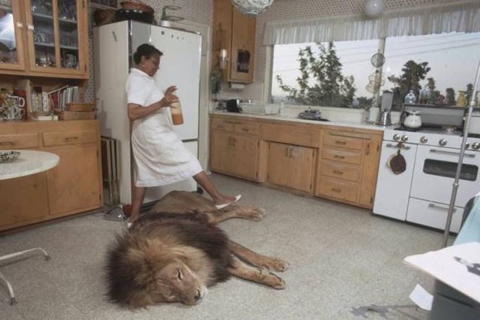 acid_picdump_27.jpg