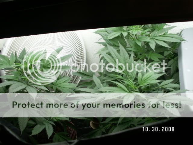 PICT0308.jpg