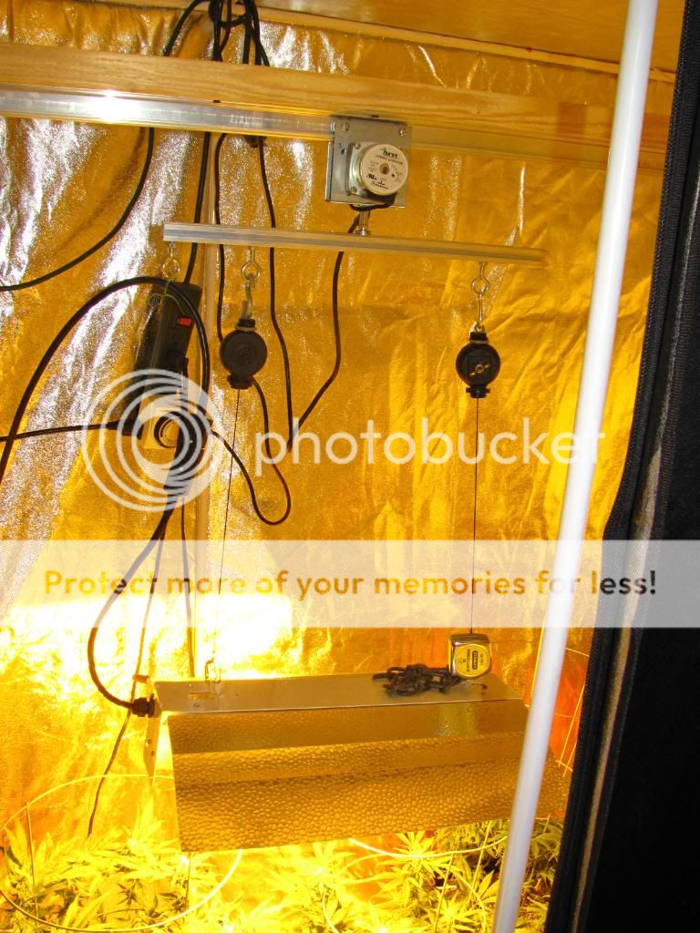 IMG_2780.jpg