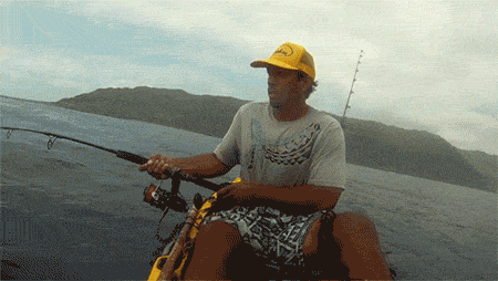 gifs_09.gif